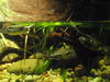 AU_2010-03-30_006.jpg